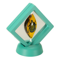 Vedecká súprava pre deti hmyz na jantár