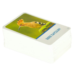 Vzdelávacia hra Na vrchole hry pre zvedavcov 8+ MULTIGRA - polsky jazyk