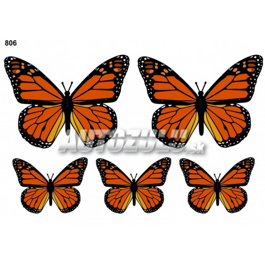 Samolepky set Motýľ oranžový