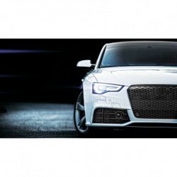 Tuningová mriežka ORIGINAL LOOK