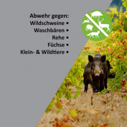 Plašič divej zvery